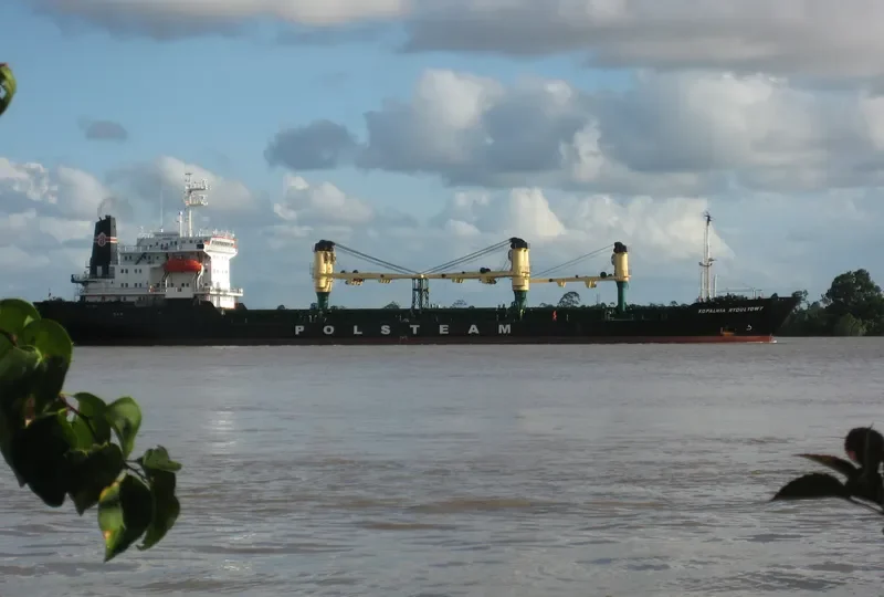 DIAMOND SUN Bulk Carrier IMO 8701923 photo 10