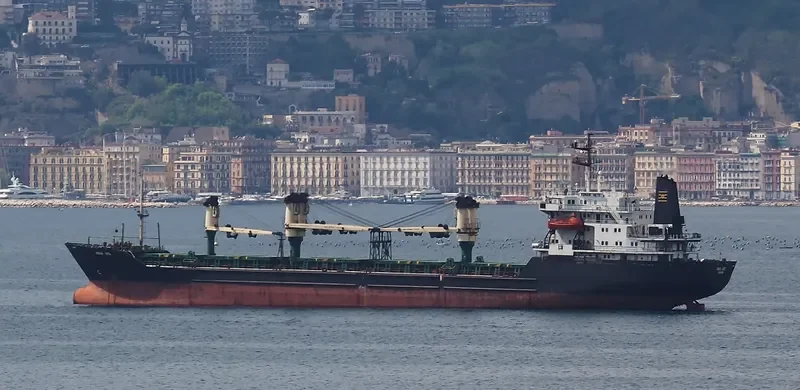 KENAN METE Bulk Carrier IMO 8701935