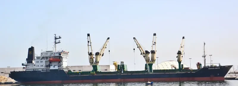 KENAN METE Bulk Carrier IMO 8701935 photo 2