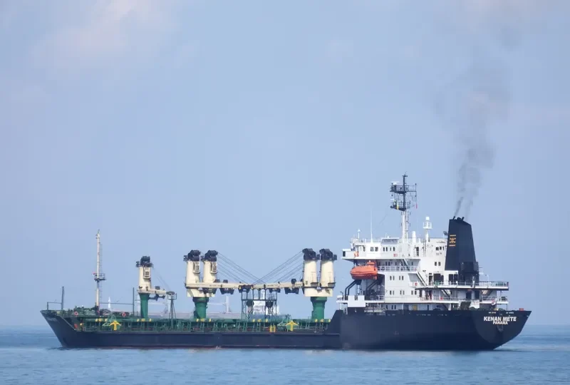 KENAN METE Bulk Carrier IMO 8701935 photo 8