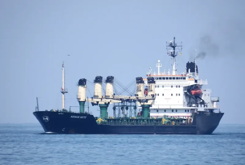 KENAN METE Bulk Carrier IMO 8701935 photo 10