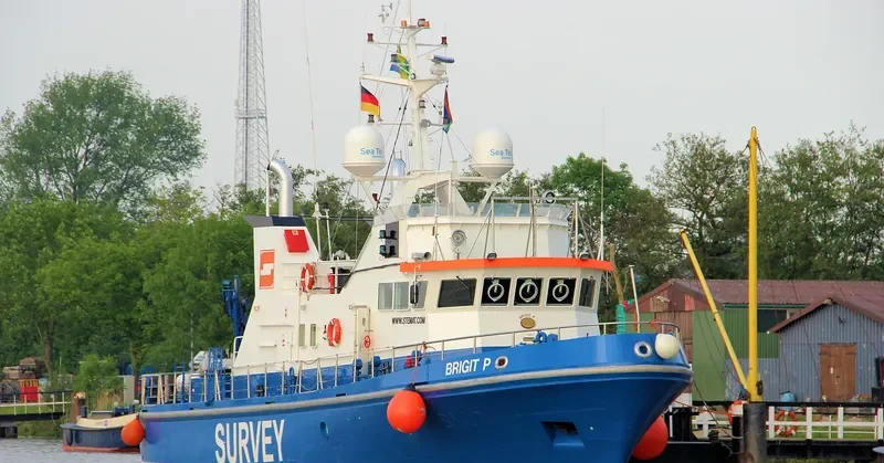 SEA DISCOVERY Bulk Carrier IMO 8702109 photo 4