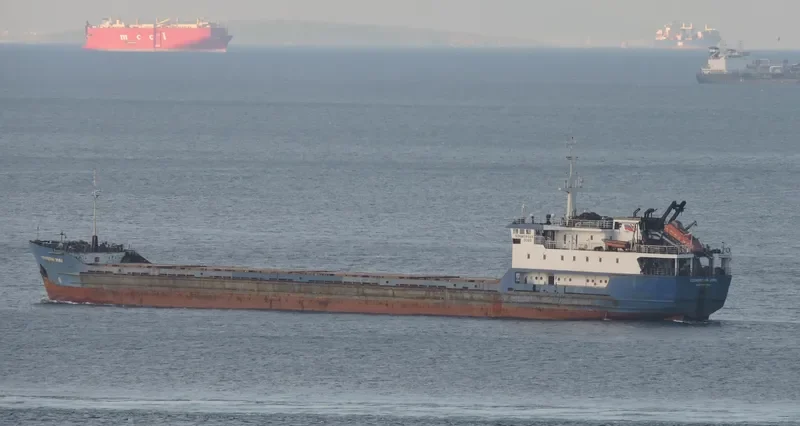 SORMOVSKIY 3060 General Cargo IMO 8702214 photo 6