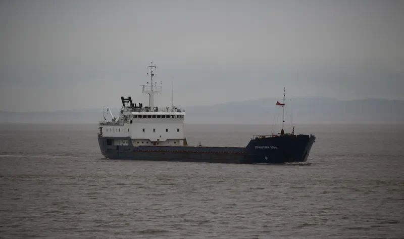 SORMOVSKIY 3064 General Cargo IMO 8702252 photo 9