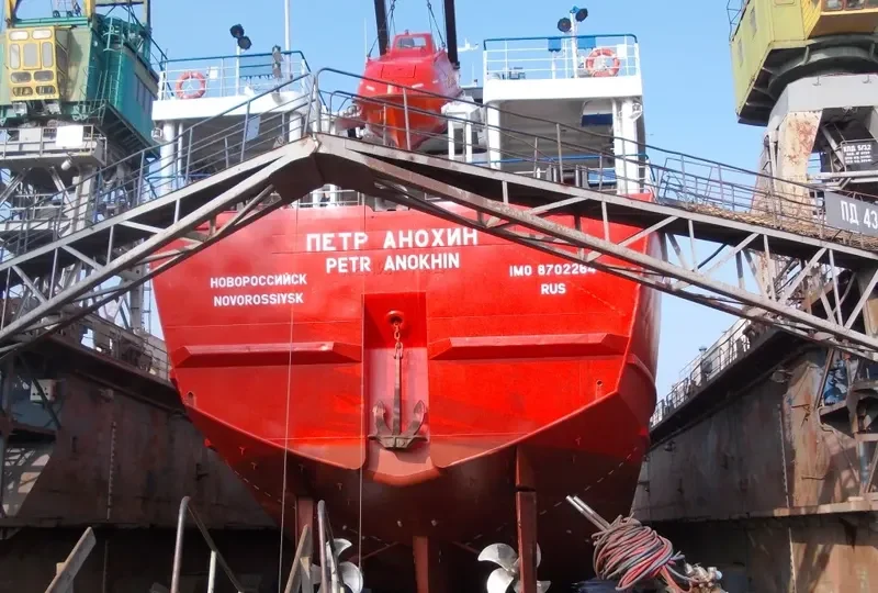 PETR ANOKHIN General Cargo IMO 8702264 photo 2