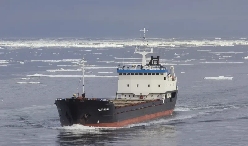 PETR ANOKHIN General Cargo IMO 8702264 photo 3