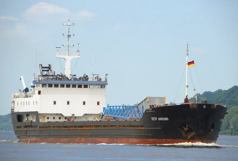 PETR ANOKHIN General Cargo IMO 8702264 photo 8