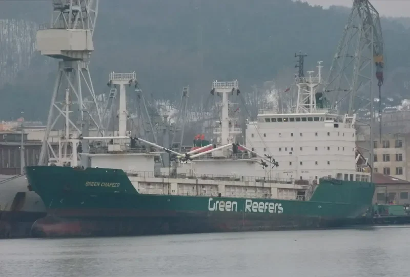 GREEN CHAPECO General Cargo IMO 8702812 photo 5