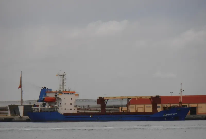 ALAADDIN BEY General Cargo IMO 8702862