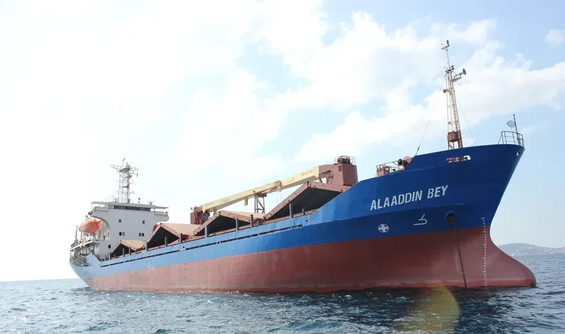 ALAADDIN BEY General Cargo IMO 8702862 photo 3