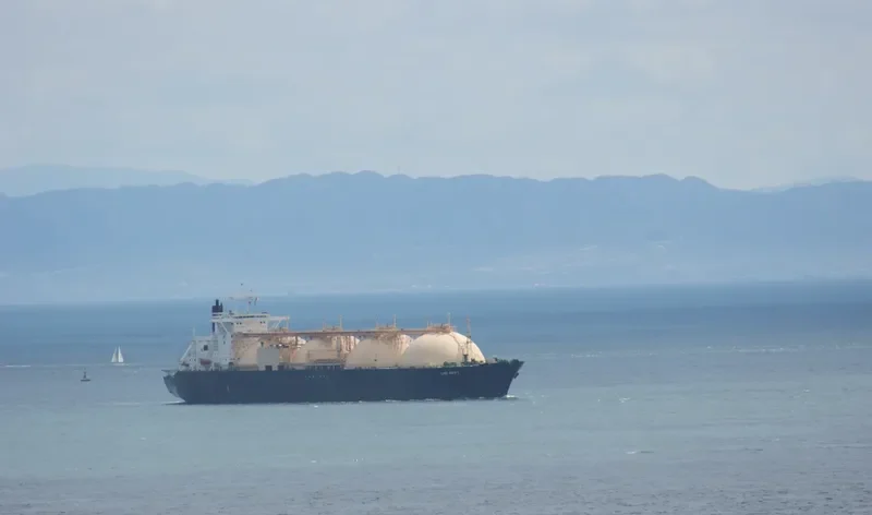 GRACE ENERGY General Cargo IMO 8702941 photo 3