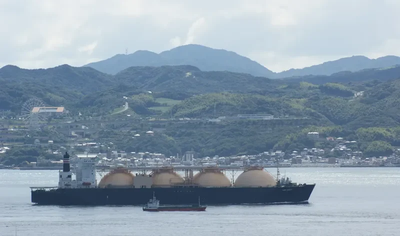 GRACE ENERGY General Cargo IMO 8702941 photo 4