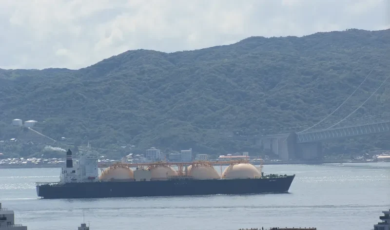 GRACE ENERGY General Cargo IMO 8702941 photo 5