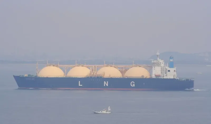 GRACE ENERGY General Cargo IMO 8702941 photo 7