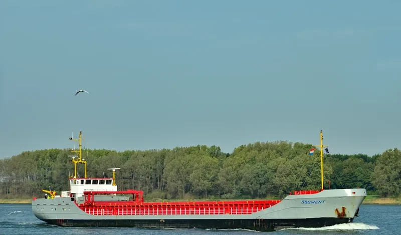 DOUWENT General Cargo IMO 8703139 photo 5