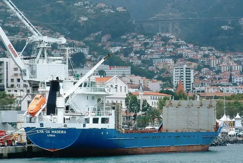 BASEL S3 General Cargo IMO 8703256