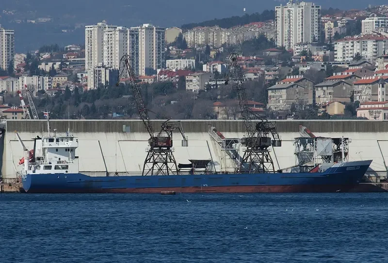 BASEL S3 General Cargo IMO 8703256 photo 3