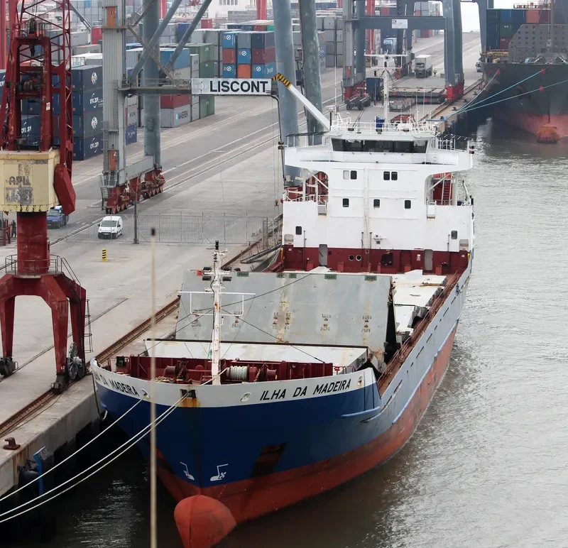 BASEL S3 General Cargo IMO 8703256 photo 8