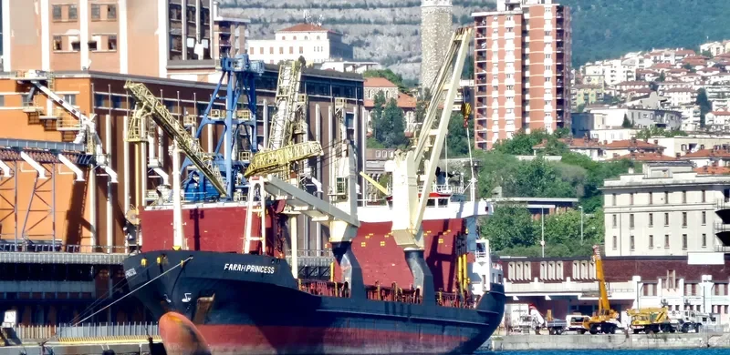 FARAH PRINCESS General Cargo IMO 8703270