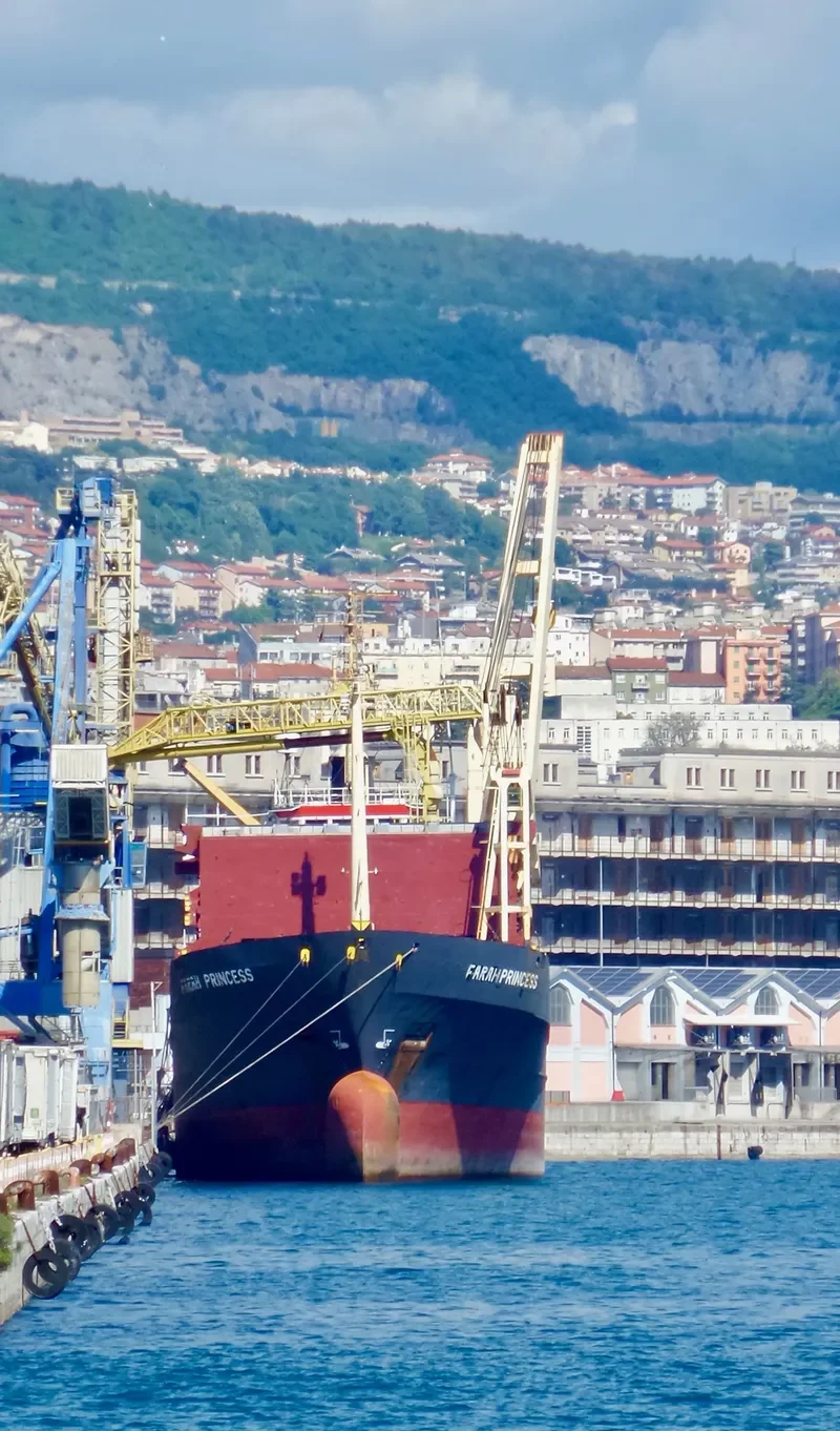 FARAH PRINCESS General Cargo IMO 8703270 photo 2