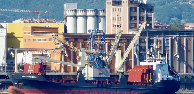 FARAH PRINCESS General Cargo IMO 8703270 photo 3