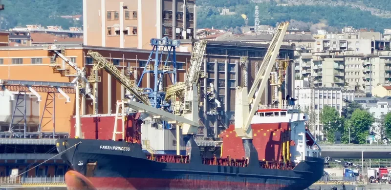 FARAH PRINCESS General Cargo IMO 8703270 photo 4