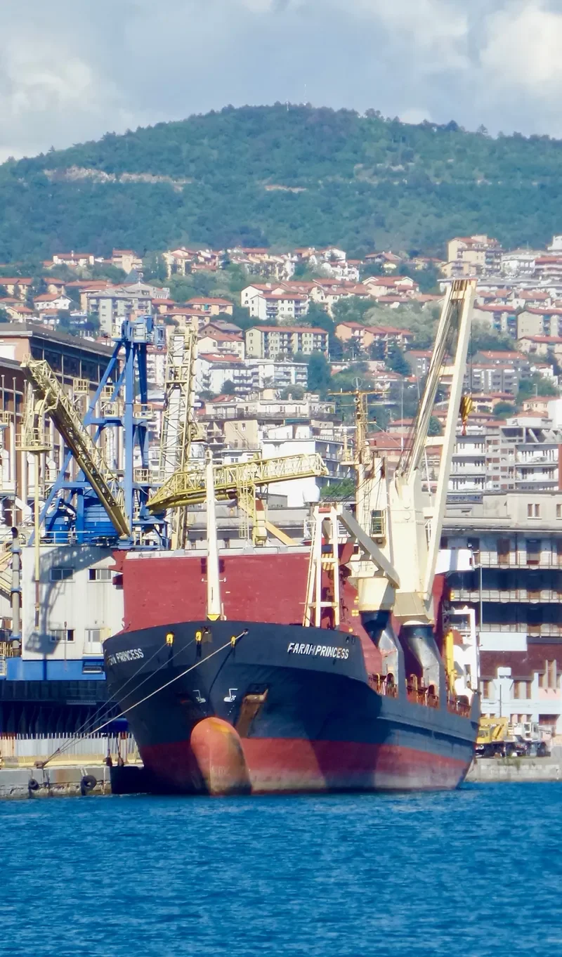 FARAH PRINCESS General Cargo IMO 8703270 photo 5