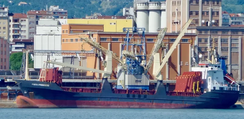 FARAH PRINCESS General Cargo IMO 8703270 photo 6