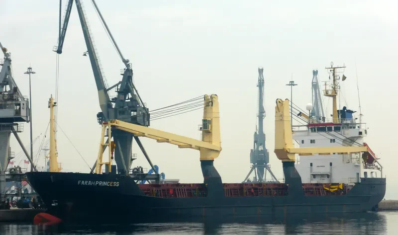 FARAH PRINCESS General Cargo IMO 8703270 photo 9