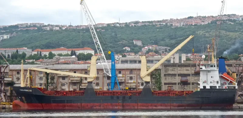 FARAH PRINCESS General Cargo IMO 8703270 photo 10