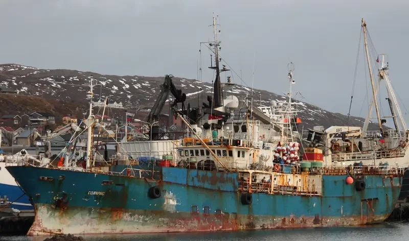 SOLYARIS General Cargo IMO 8703830 photo 2