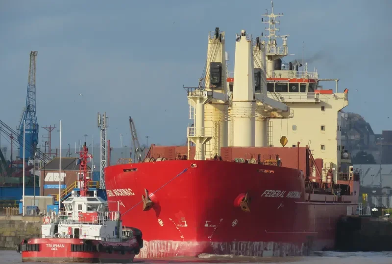 TRUEMAN General Cargo IMO 8704286 photo 9