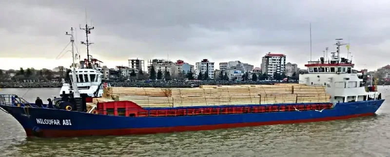 NILOUFAR ABI General Cargo IMO 8704456 photo 4