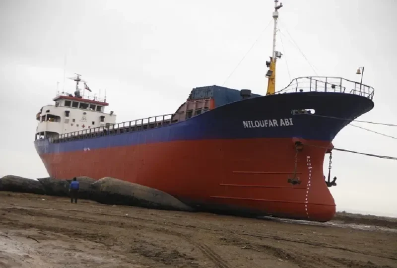 NILOUFAR ABI General Cargo IMO 8704456 photo 8