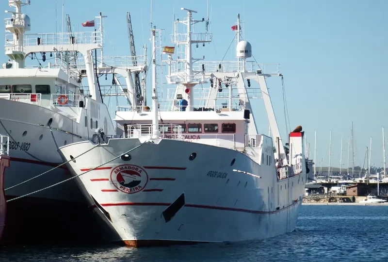 ESTAI General Cargo IMO 8704614