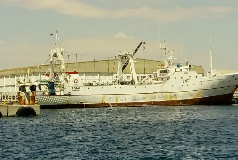 ESTAI General Cargo IMO 8704614 photo 5