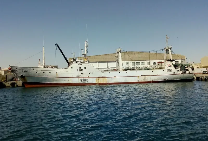 ESTAI General Cargo IMO 8704614 photo 6