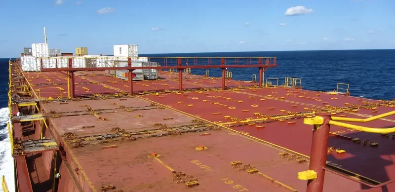 LOTUS Container Ship IMO 8705486 photo 5