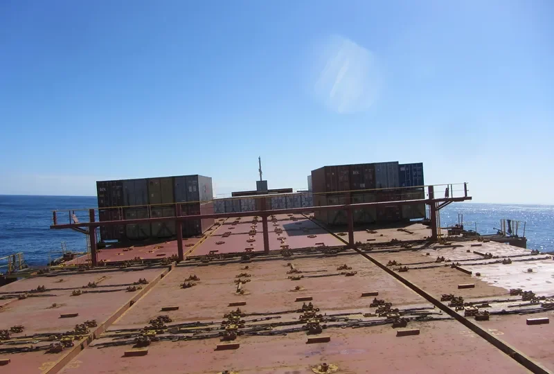 LOTUS Container Ship IMO 8705486 photo 6