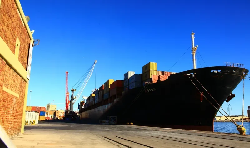 LOTUS Container Ship IMO 8705486 photo 7