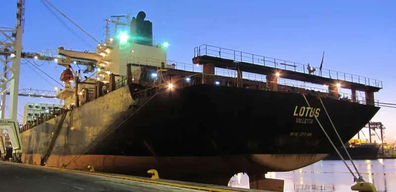 LOTUS Container Ship IMO 8705486 photo 8