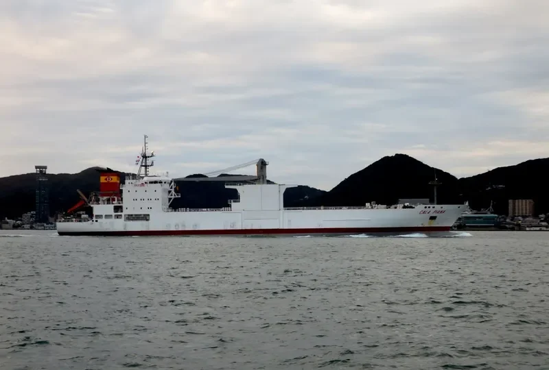 CALA PIANA General Cargo IMO 8705656
