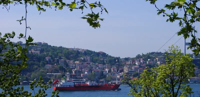 POWER S General Cargo IMO 8705955 photo 10