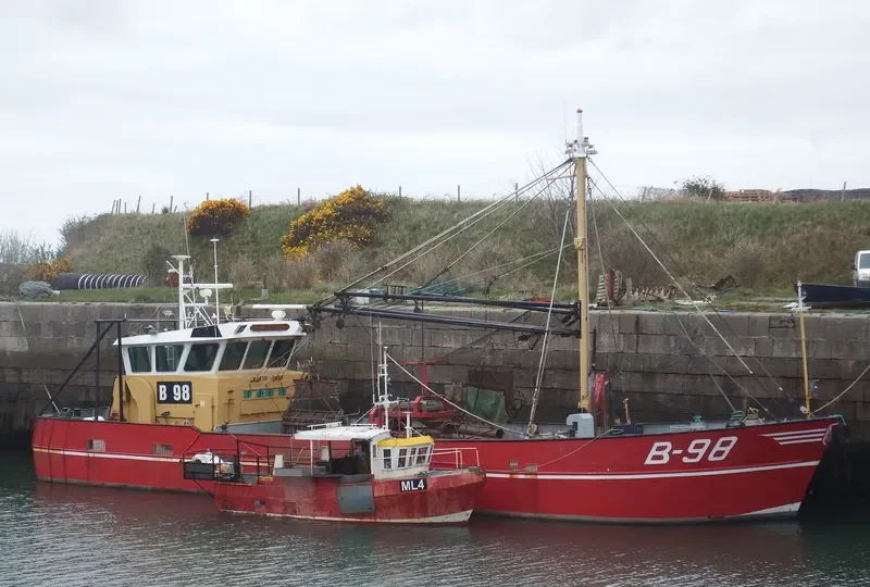 STILL OSTREA General Cargo IMO 8706674