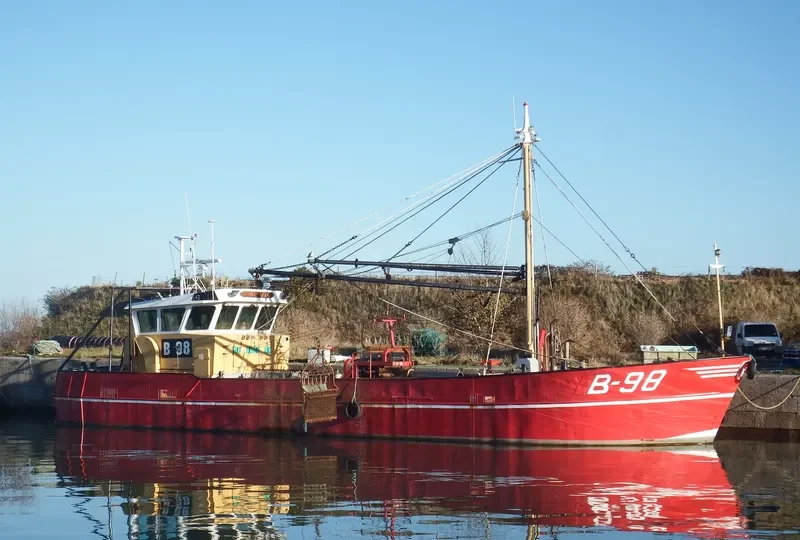 STILL OSTREA General Cargo IMO 8706674 photo 2