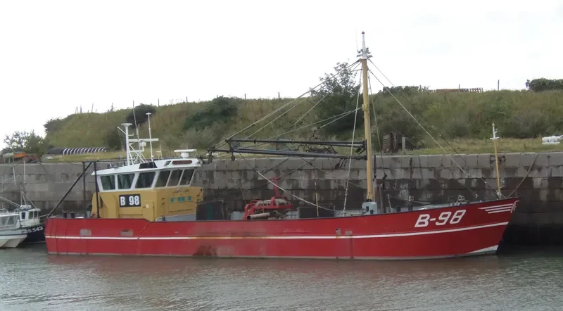 STILL OSTREA General Cargo IMO 8706674 photo 6