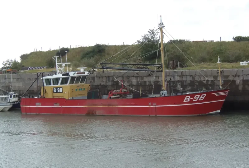 STILL OSTREA General Cargo IMO 8706674 photo 7