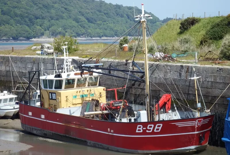 STILL OSTREA General Cargo IMO 8706674 photo 8