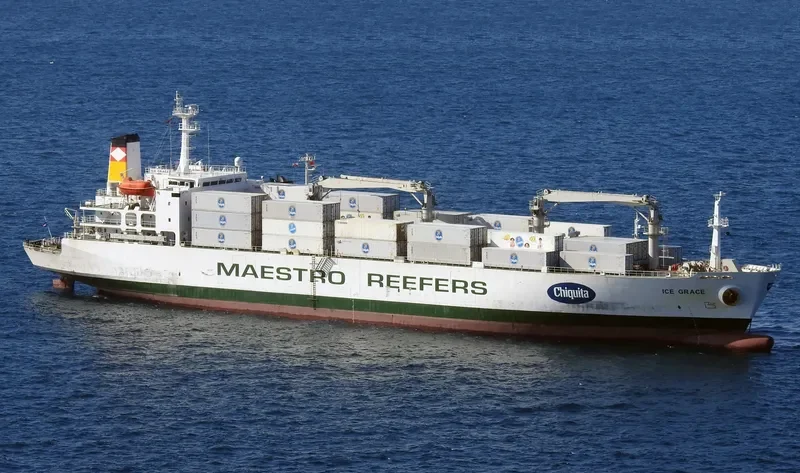 ICE GRACE General Cargo IMO 8706777