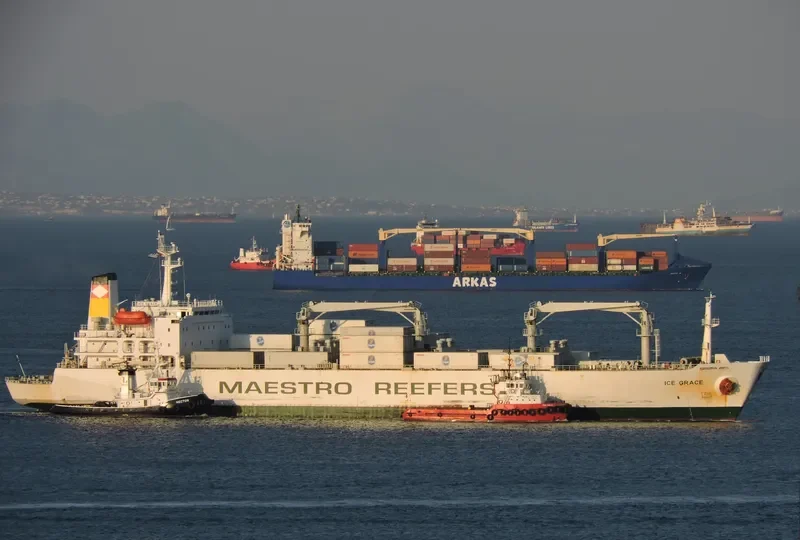 ICE GRACE General Cargo IMO 8706777 photo 2